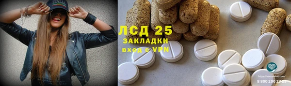 2c-b Горно-Алтайск