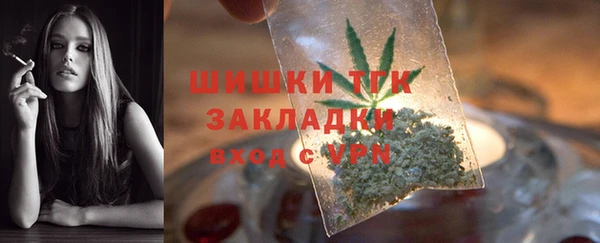 2c-b Горно-Алтайск