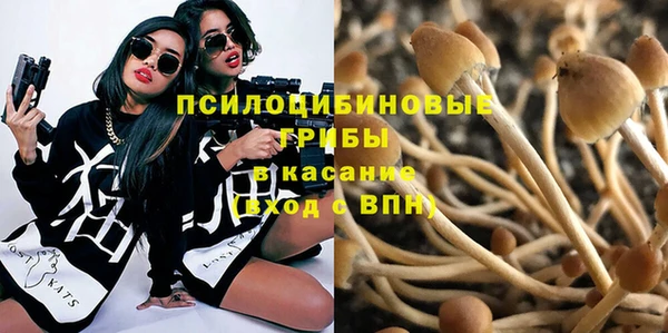 мдма Горняк