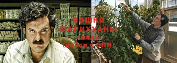 2c-b Горно-Алтайск