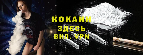 2c-b Горно-Алтайск